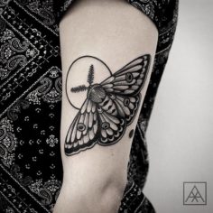 mariposa tatuagem