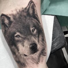 tatuagem lobo