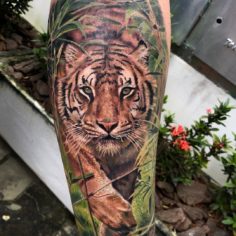tattoo tatuagem tigre solitario