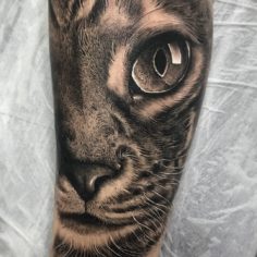 tattoo tatuagem gato cat