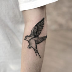 tattoo tatuagem passaro andorinha