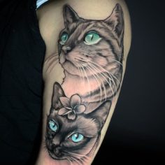 tattoo tatuagem gatos