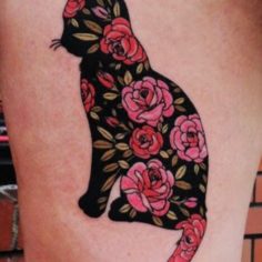 gato com rosas