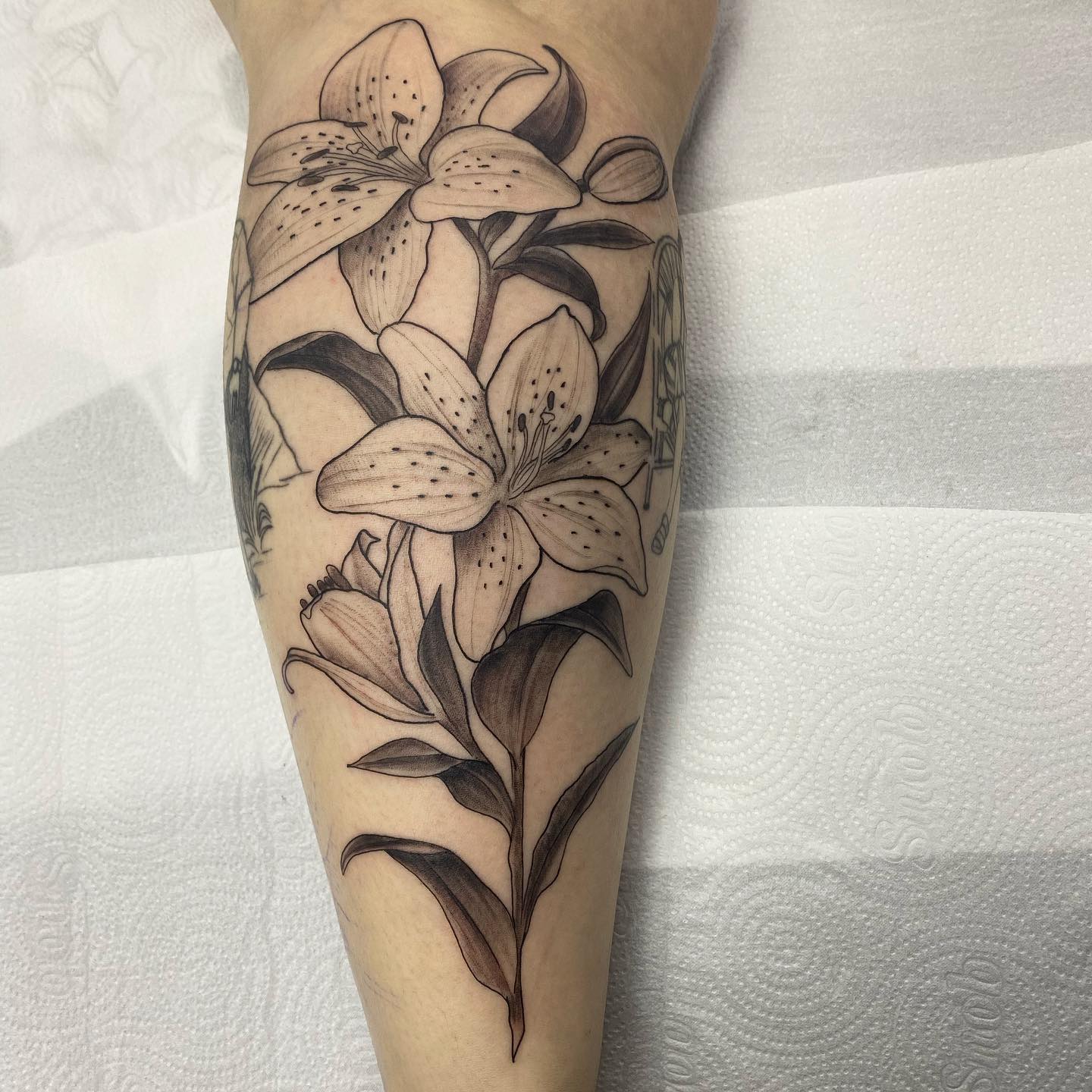 Lírios - Tattoo | Tatuagens