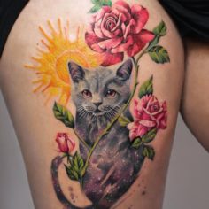 gato incrivel com rosas